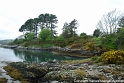 DSC_0716 [800x600]